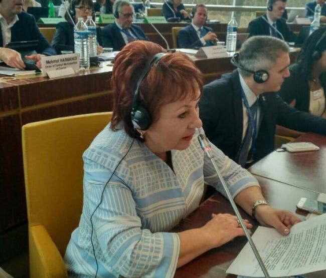 Світлана Богатирчук-Кривко виступає від імені української делегації в Страсбурзі.